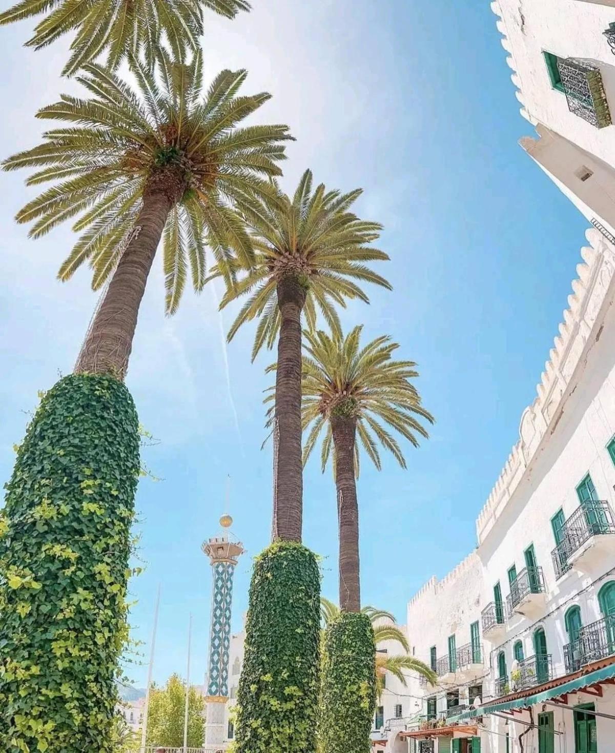 Tétouan Casa Marwan旅舍 外观 照片